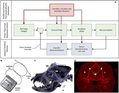 Case Report: Embedding “Digital Chronotherapy” Into Medical Devices—A Canine Validation for Controlling Status Epilepticus Through Multi-Scale Rhythmic Brain Stimulation